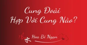 Cung Đoài hợp với cung nào?