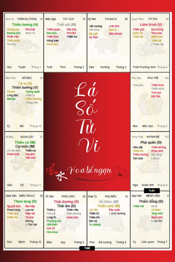 Sao chủ mệnh 12 Cung Tử Vi