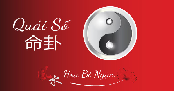 Quái Số Là Gì